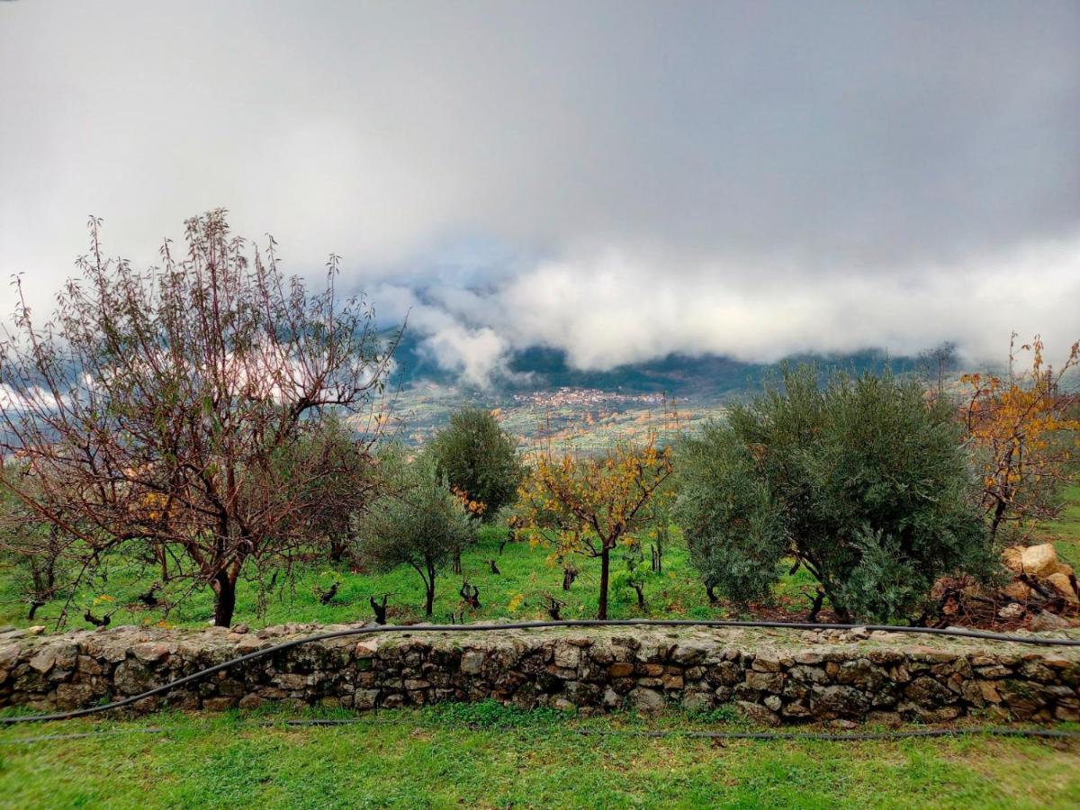 Вилла La Cirujana De Gredos Сан-Эстебан-дель-Валье Экстерьер фото